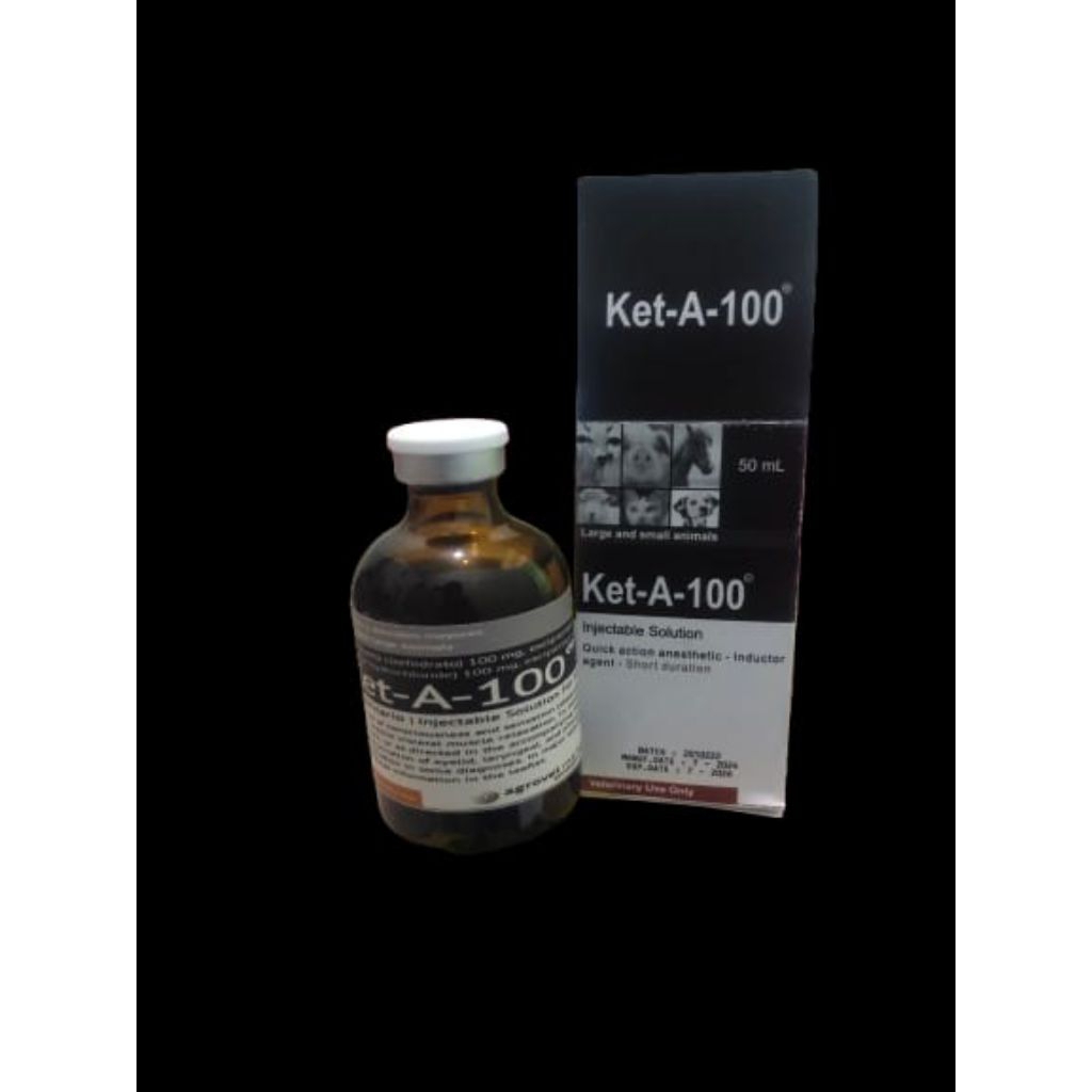 Ket A 100 Obat Hewan Inject able
