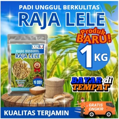 Padi Rojolele / Padi Rojolele / Biji Padi Unggul Rojolele / Kemasan 1 Kilogram