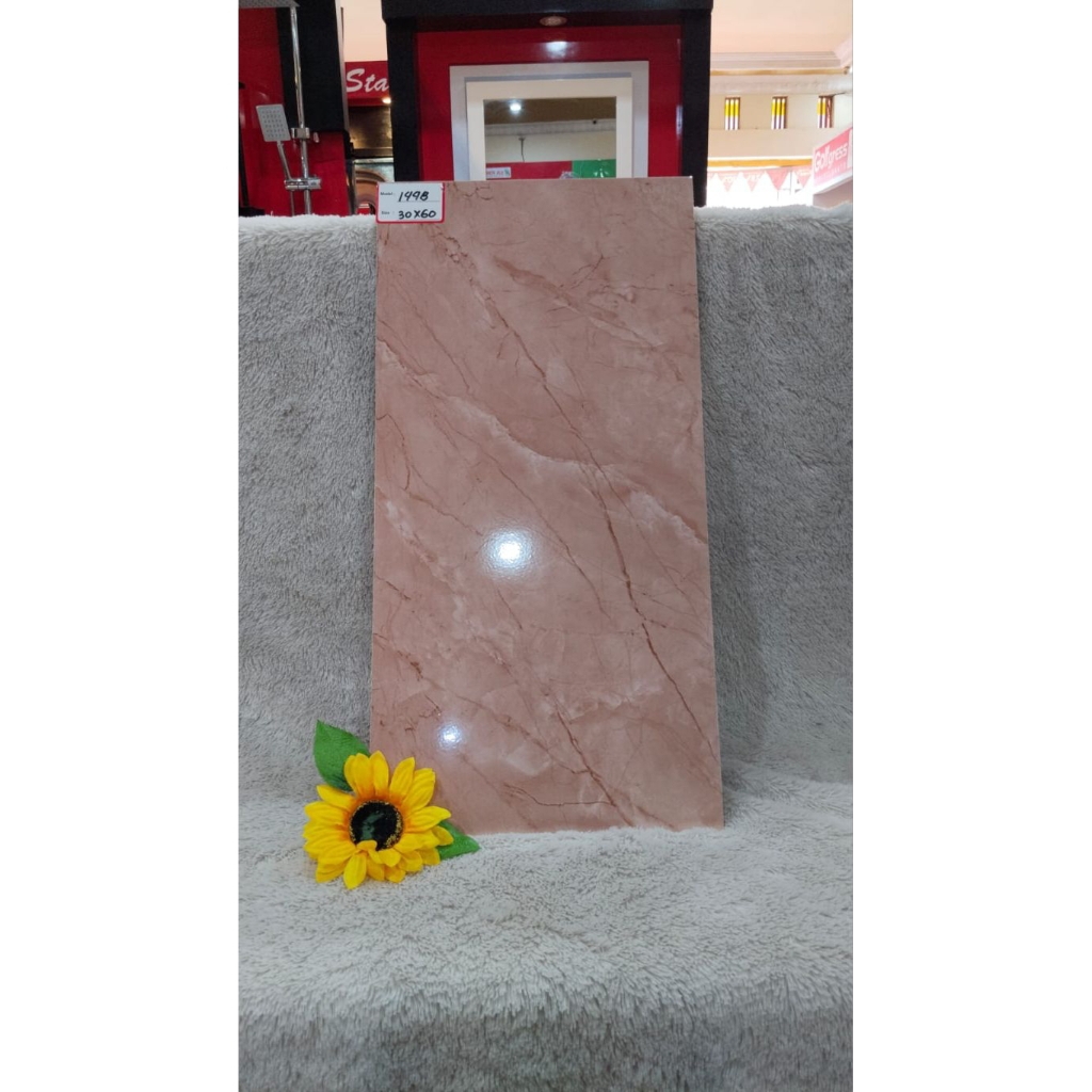 Keramik Dinding 30X60 IKAD 144B