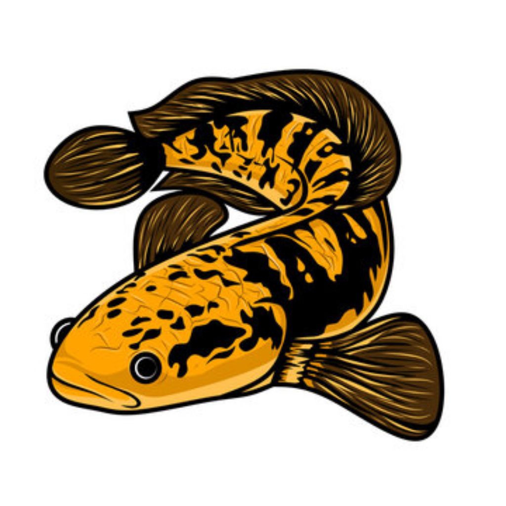 stiker chana maru