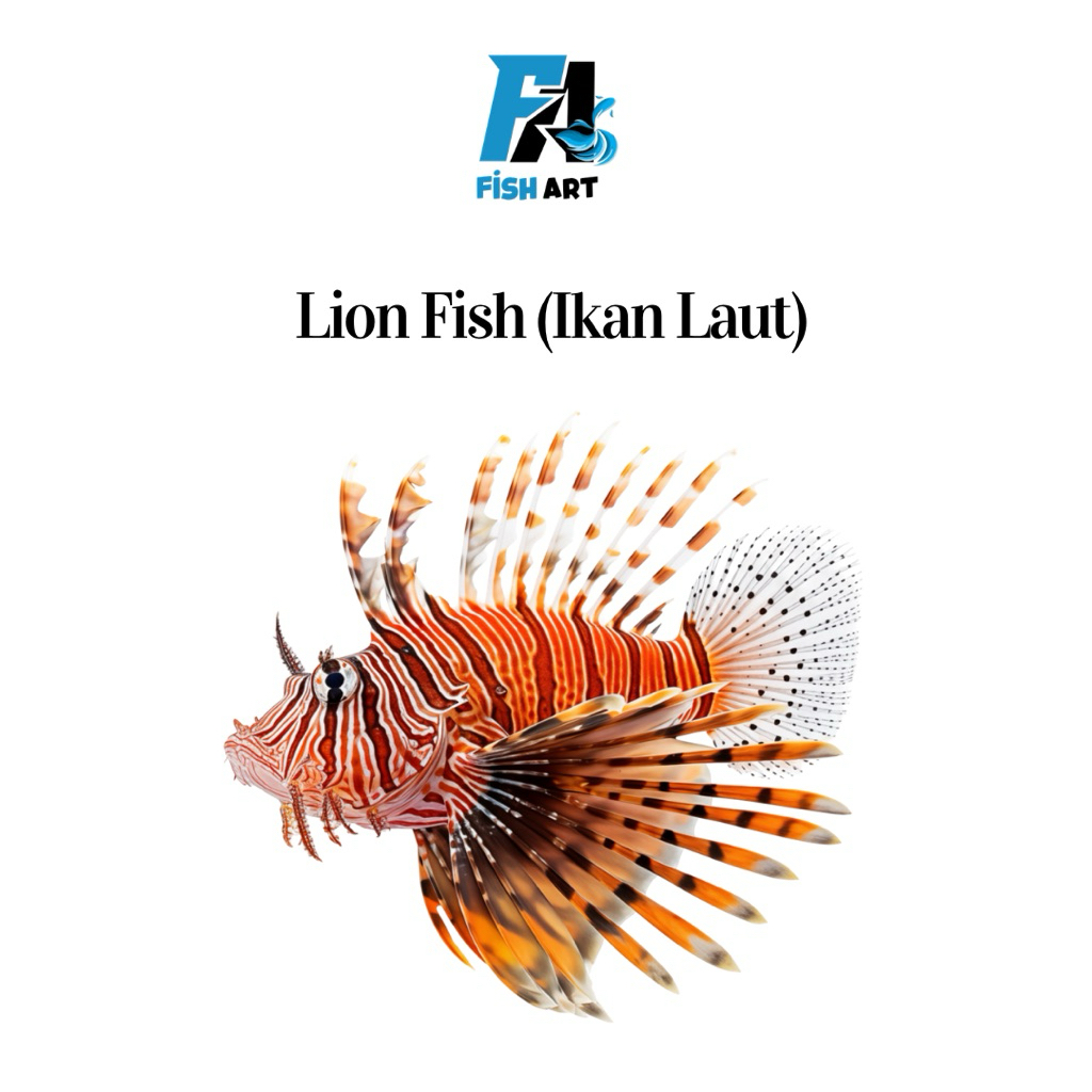 Ikan Laut Lion Fish - Ikan Singa/Ikan Lepu