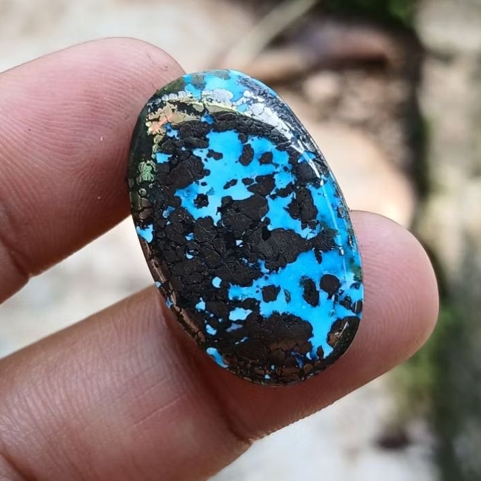 pirus badar perak