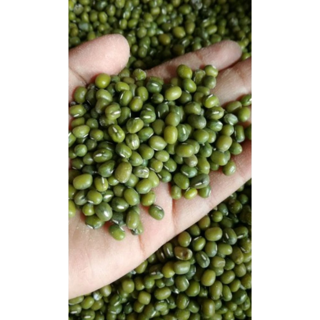 Kacang hijau fresh/bubur kacang hijau