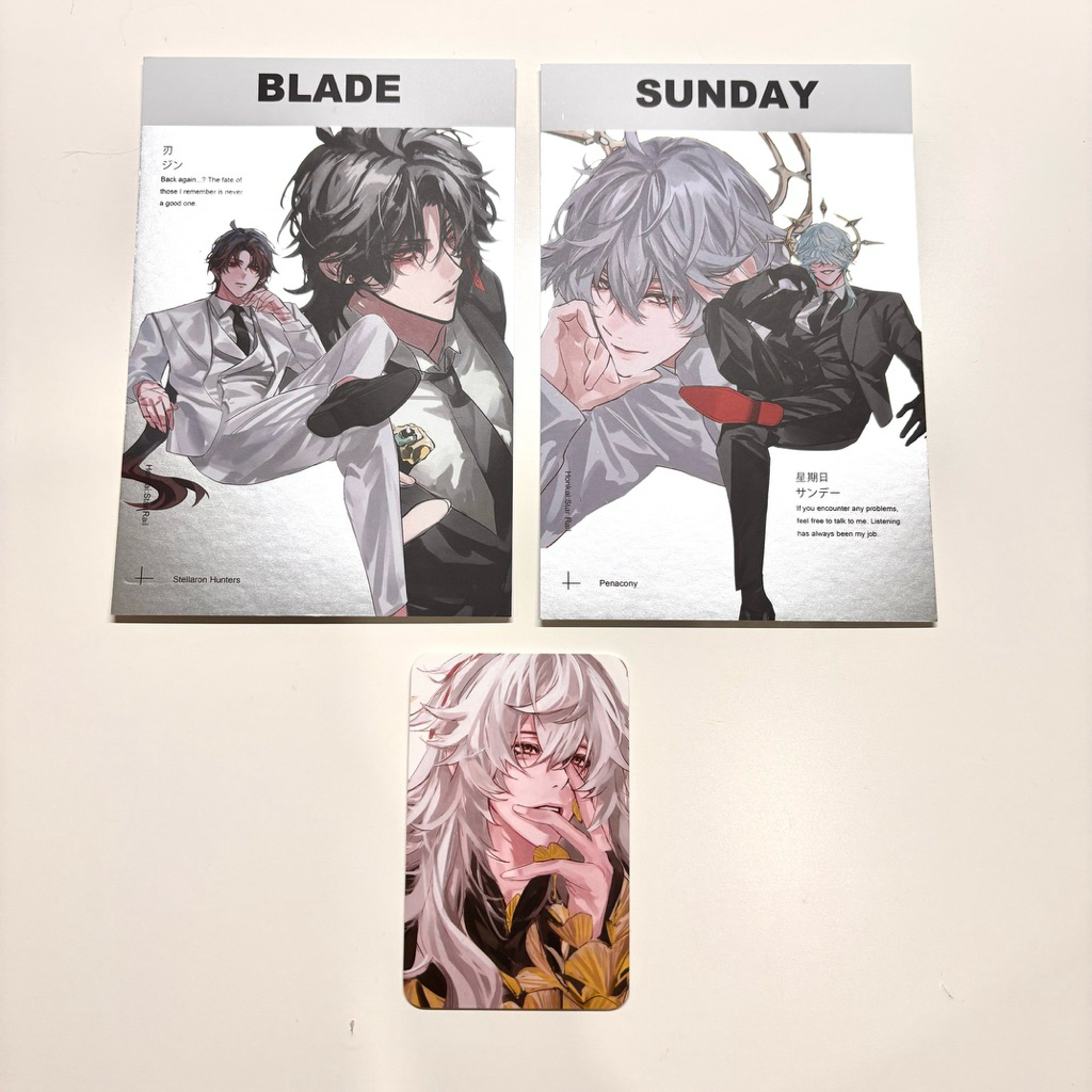 PHOTOCARD POSTCARD JINGYUAN BLADE SUNDAY HSR