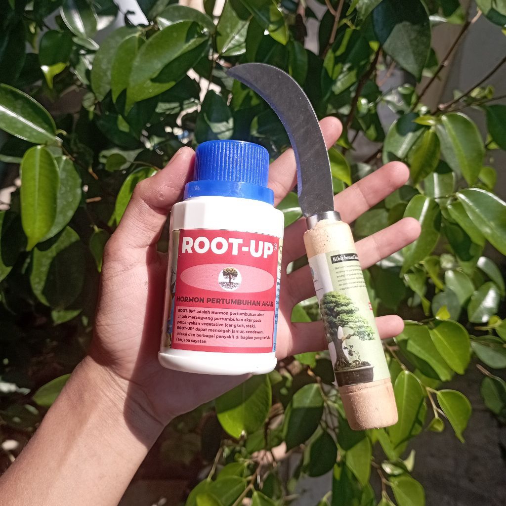 Paket Pisau Okulasi Khusus + Vitamin Root Up pertumbuhan Paket Subur
