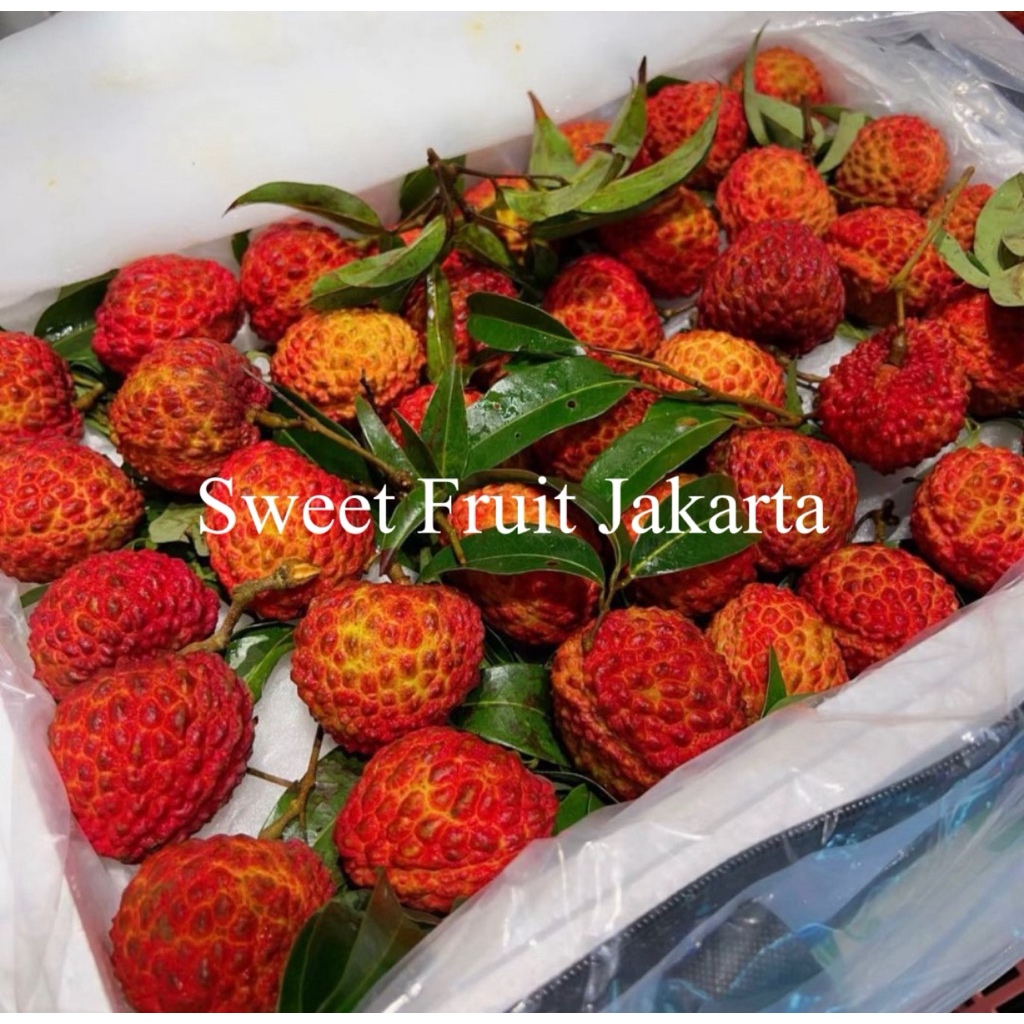 Buah Leci Aligator Jepang Super Manis / Buah Lychee King Aligatot Jepang Gitf Box