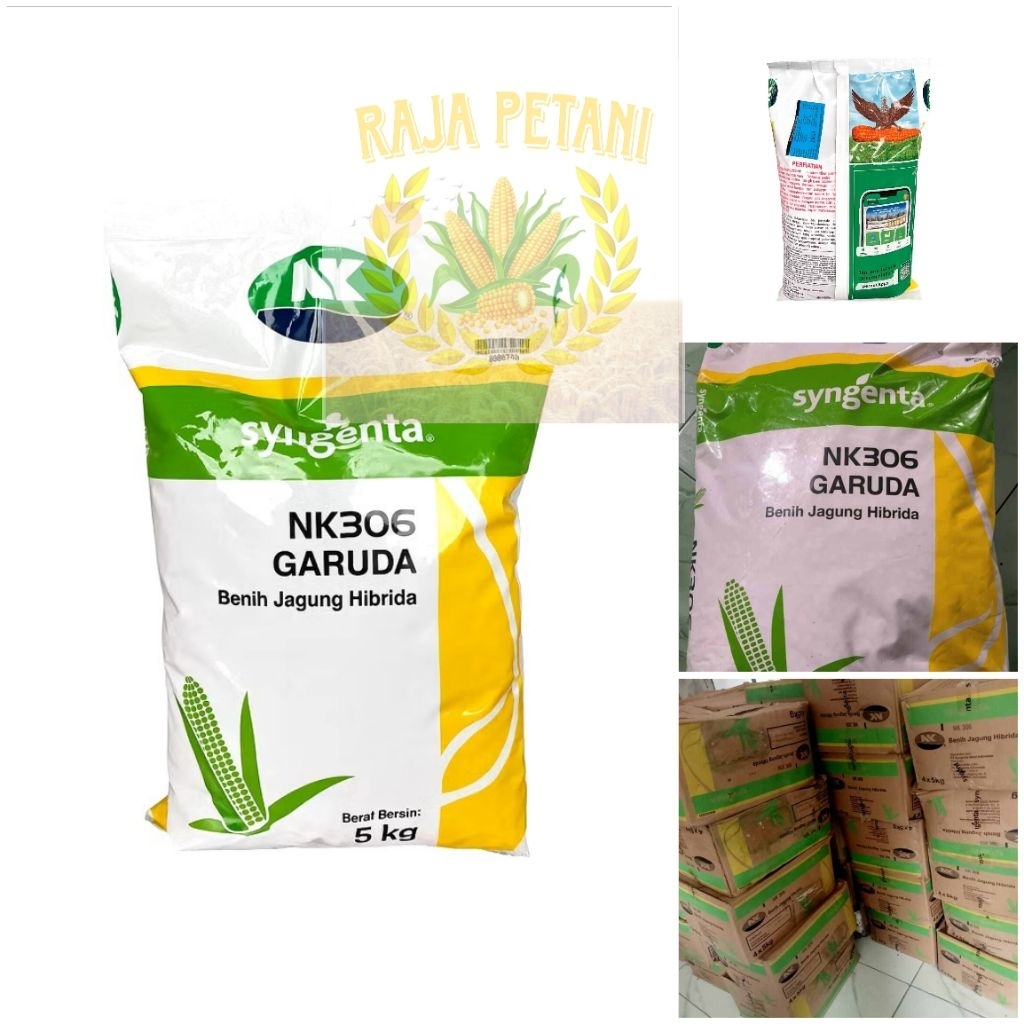 Benih Jagung Hibrida Nk 306 Garuda Kemasan 5 Kg