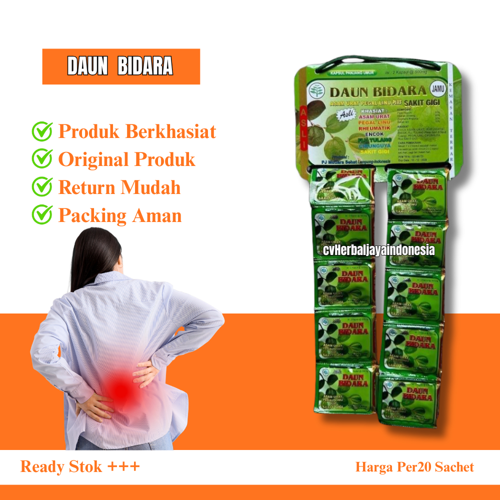 Kapsul Daun Bidara Renceng 20 Sachet Original