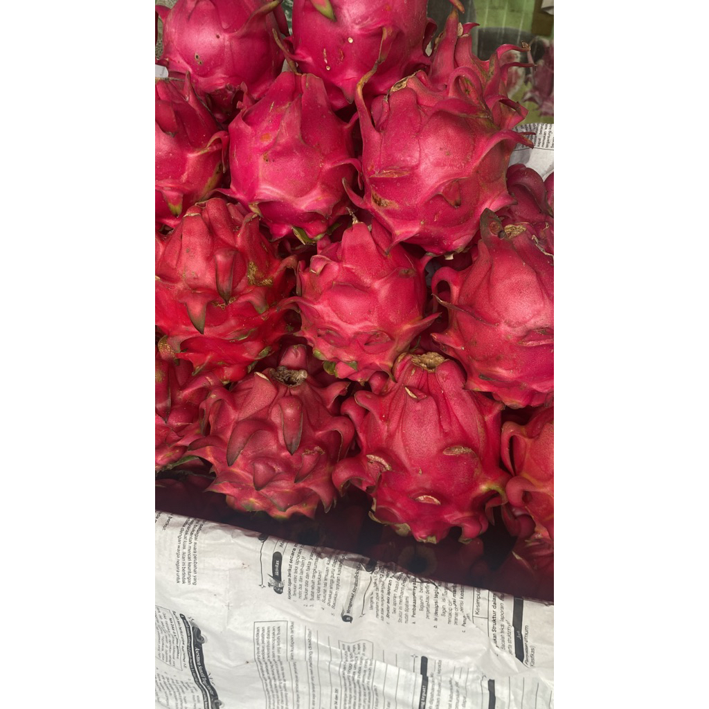 buah naga 1kg