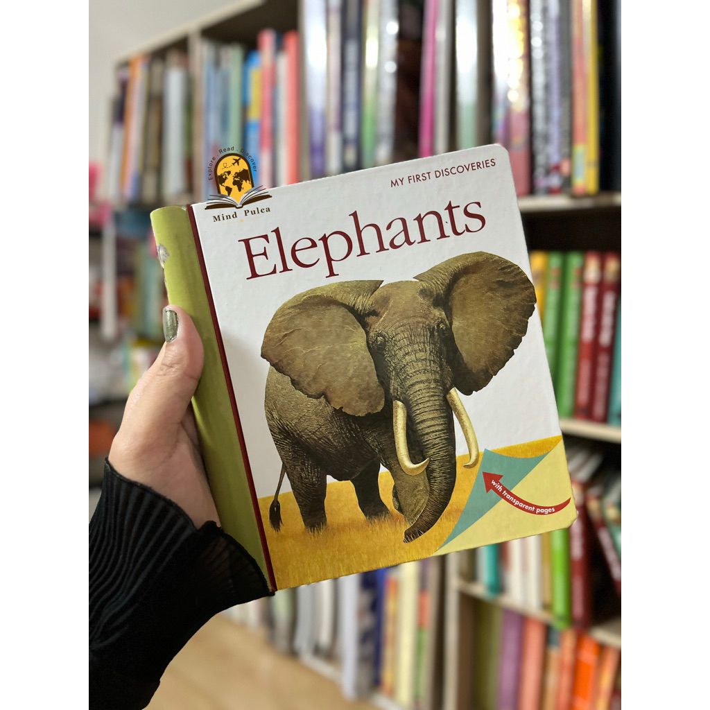 MFD - My First Discovery Children Book Hardcover (How the body works, Trees, Boats, Elephant, etc)