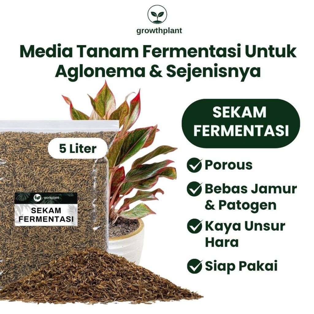 Growthplant - Sekam Fermentasi Media Tanam Siap Pakai untuk Tanaman Hias Aglonema Philodendron Aroid