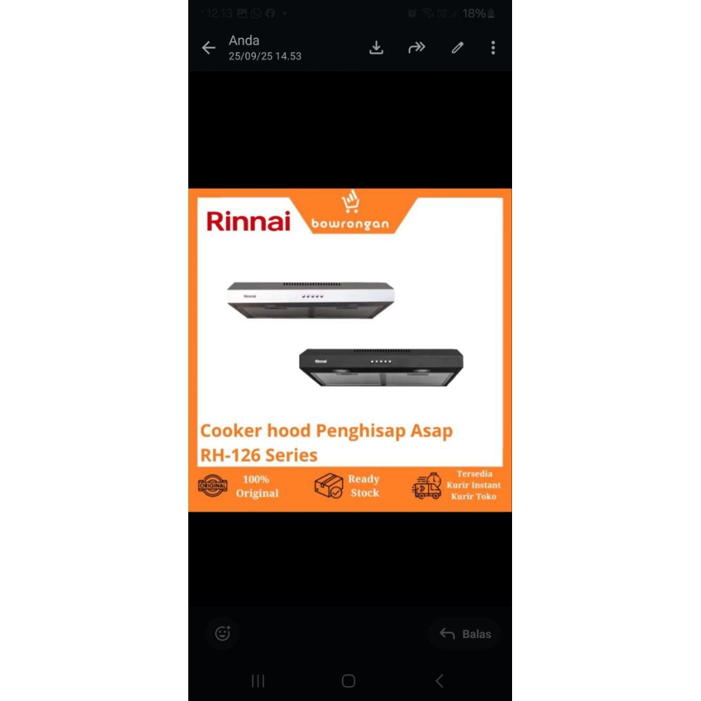 cooker hood rinnai