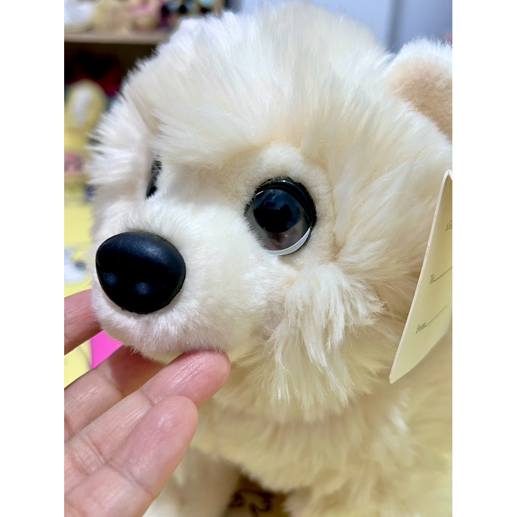 Boneka Anjing Ras White Pomeranian Mata Kasihan 23 Cm