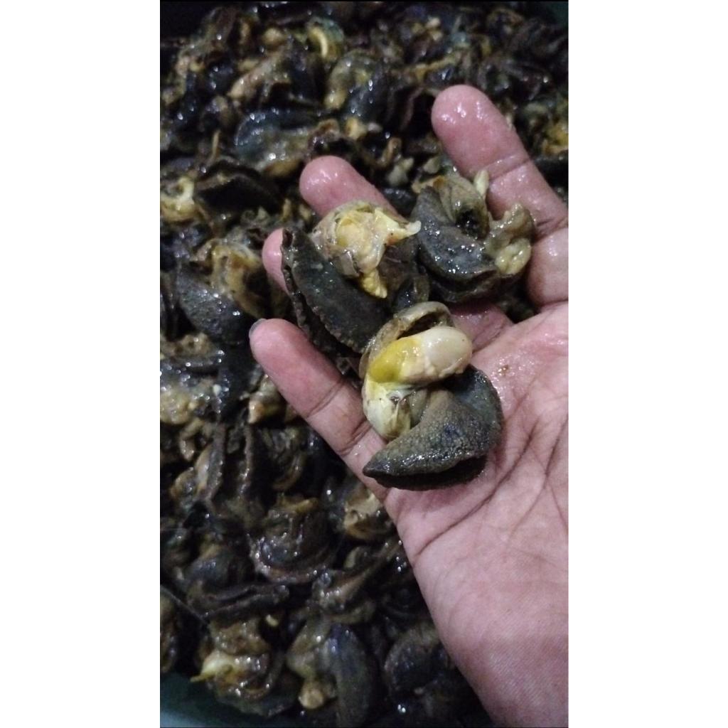 Daging Bekicot Bersih 1 kg