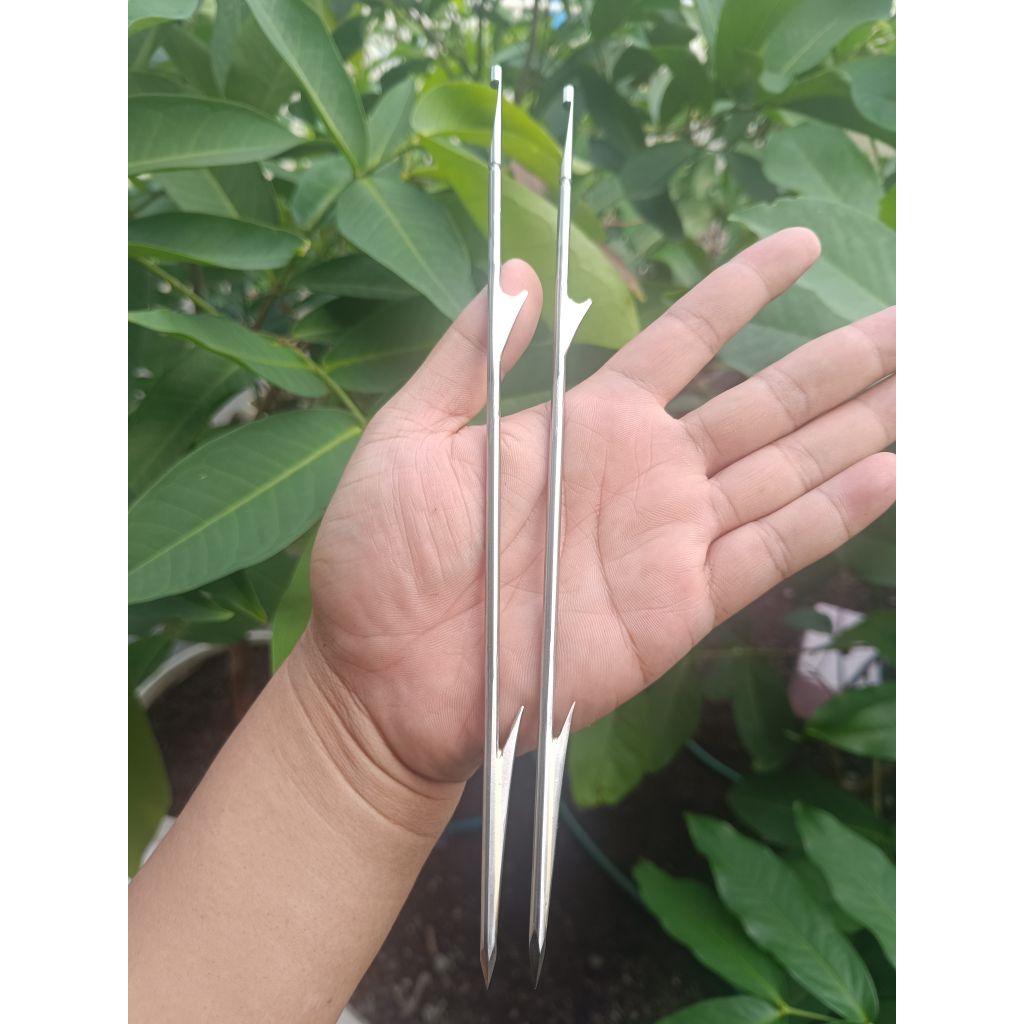 MATA PASER IKAN MATA PASER KETAPEL IKAN MODERN