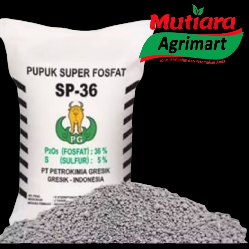 Pupuk Fosfor TSP SP36 1 kg - Tingkatkan Produksi Tanaman dengan Fosfor Tinggi