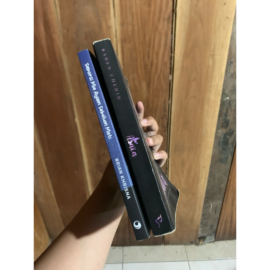 preloved novel seporsi mie ayam sebelum mati - novel alaia