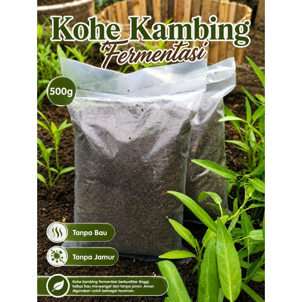 Kohe Kambing Fermentasi