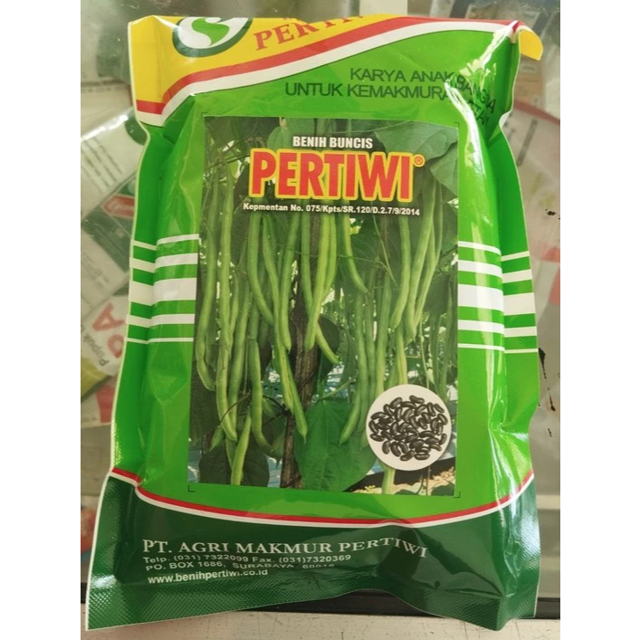 BUNCIS PERTIWI 500 GRAM / benih buncis pertiwi / buncis terlaris