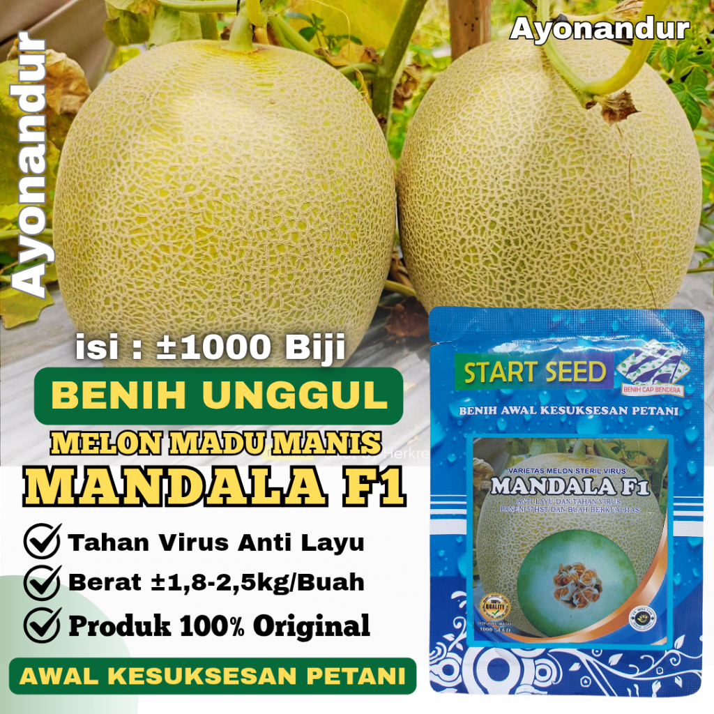1000 Benih Melon Madu MANDALA F1 Bibit Unggul Melon Jumbo Manis Premium Tahan Virus, Anti Layu Dan H