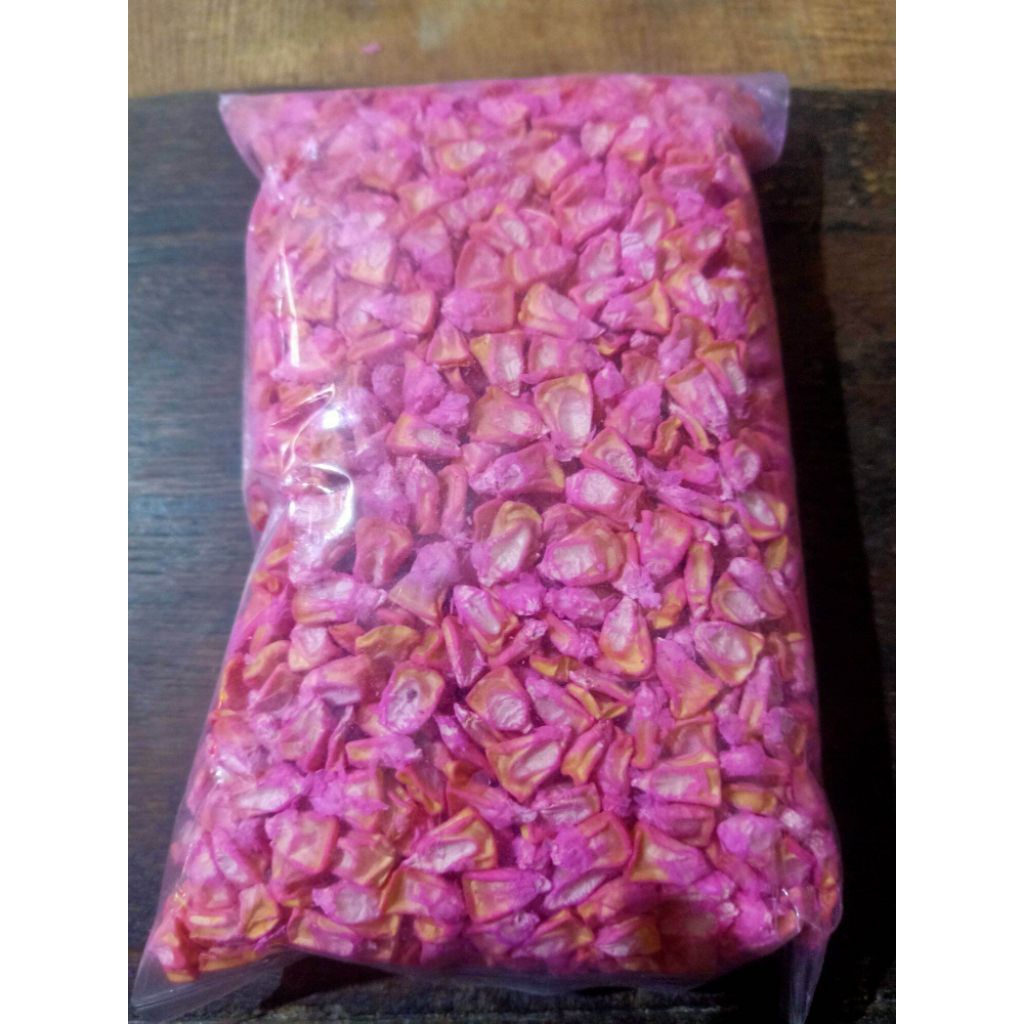 300BIJ BENIH JAGUNG MANIS BONANZA BENIH SUPER SIAP TANAM
