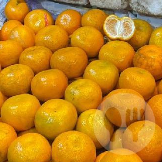 Jeruk Kino Mandarin 500gram