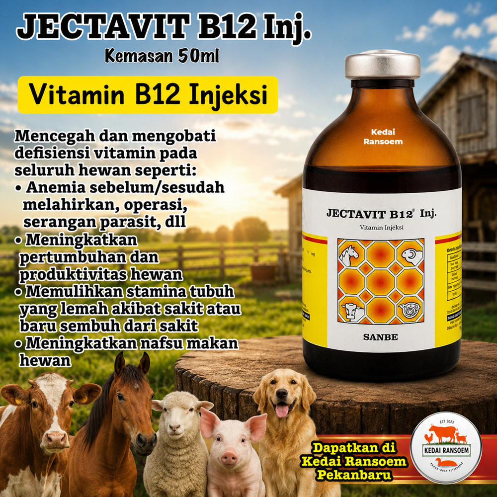 JECTAVIT B12 Inj 50ml Vitamin B12 Sapi Kuda Domba Babi Anjing Obat Anemia Penambah Nafsu Makan