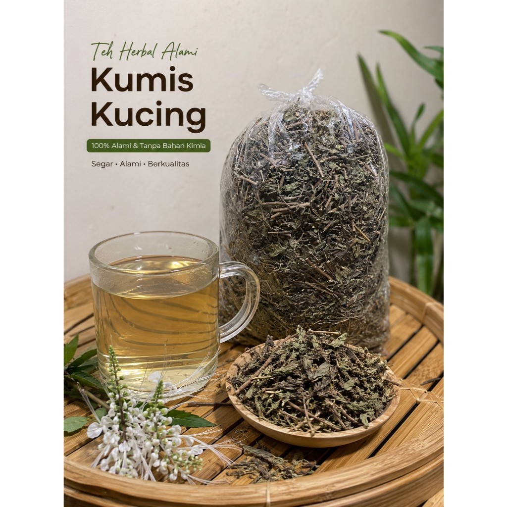 Daun Kumis Kucing Kering Grade A 500 Gram - Kumis Kucing Kering