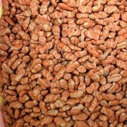 Me-o salmon / Tuna / Kitten Oceanfish Repack 1kg