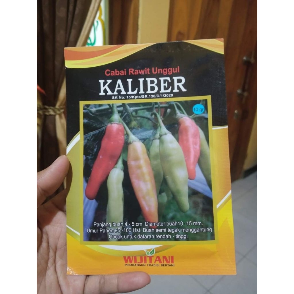 benih cabe KALIBER 10gram