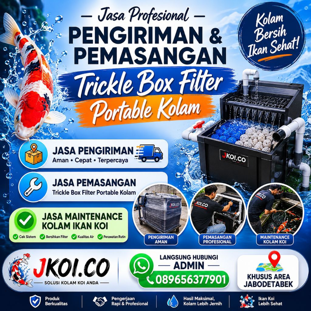 JASA PENGIRIMAN dan PEMASANGAN TRICKLE BOX FILTER KOLAM BESAR|| MAINTENANCE FILTER KOLAM KOI KHUSUS 