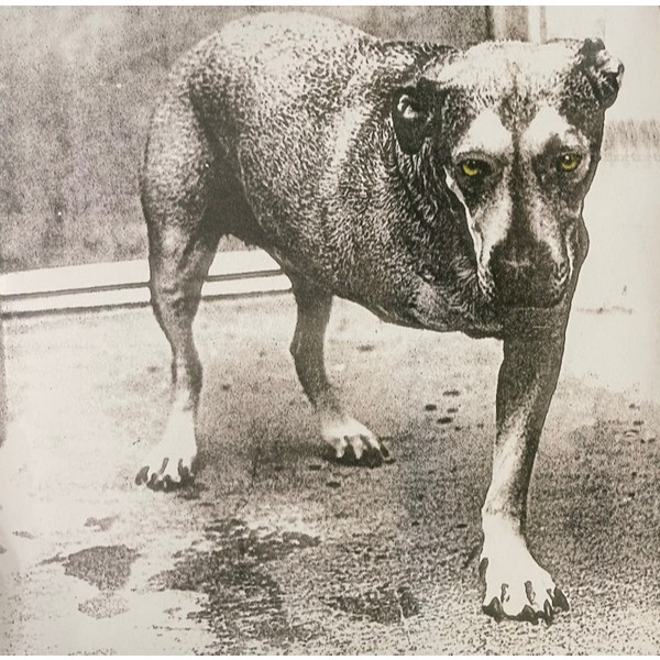 Vinyl Album Alice In Chains – Alice In Chains