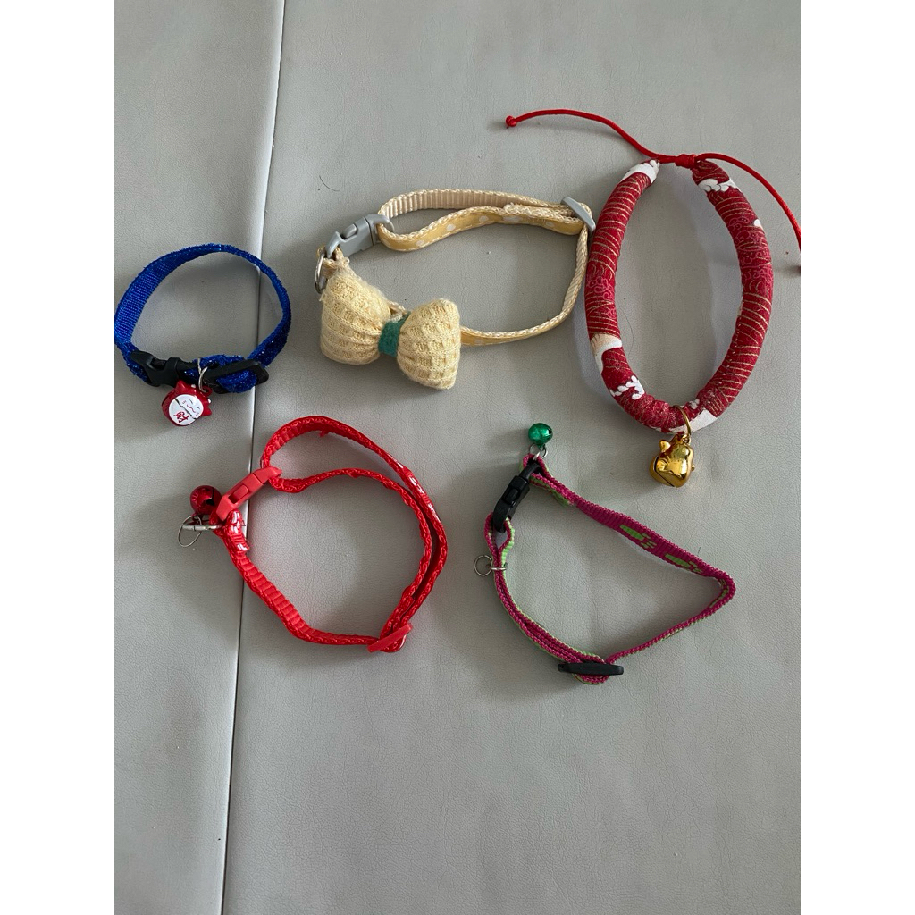 Preloved kalung  kucing