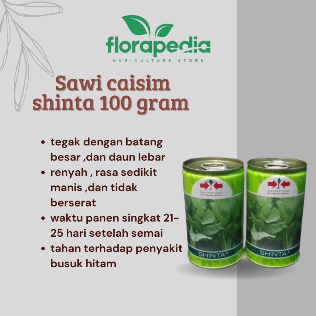 sawi caisim Shinta kaleng 100 gram sawi pangsit sawi hijau