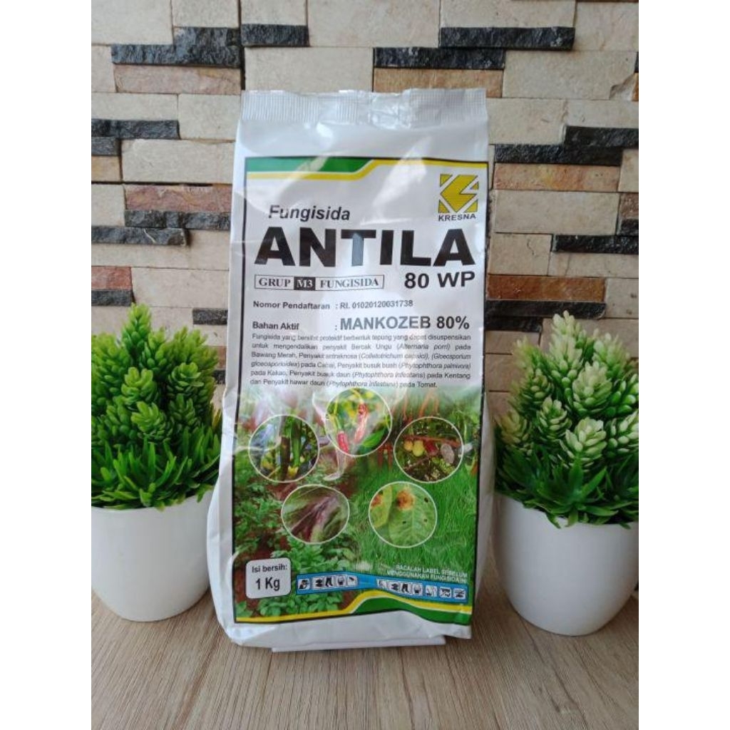 ANTILA 80 WP 1 KG