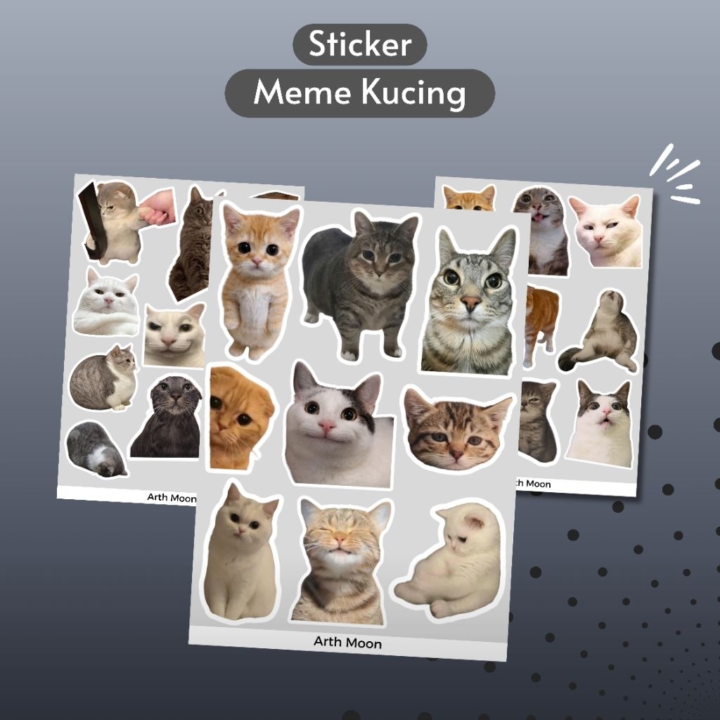 Sticker Meme Kucing | Sticker Kucing Lucu