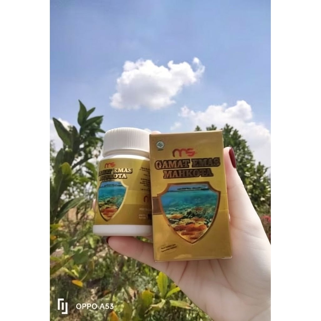 Gamat Teripang Emas New Herbal Obat Jantung, Lambung, Kanker, Diabetes dll BPOM 100% Ori/Mitra Resmi