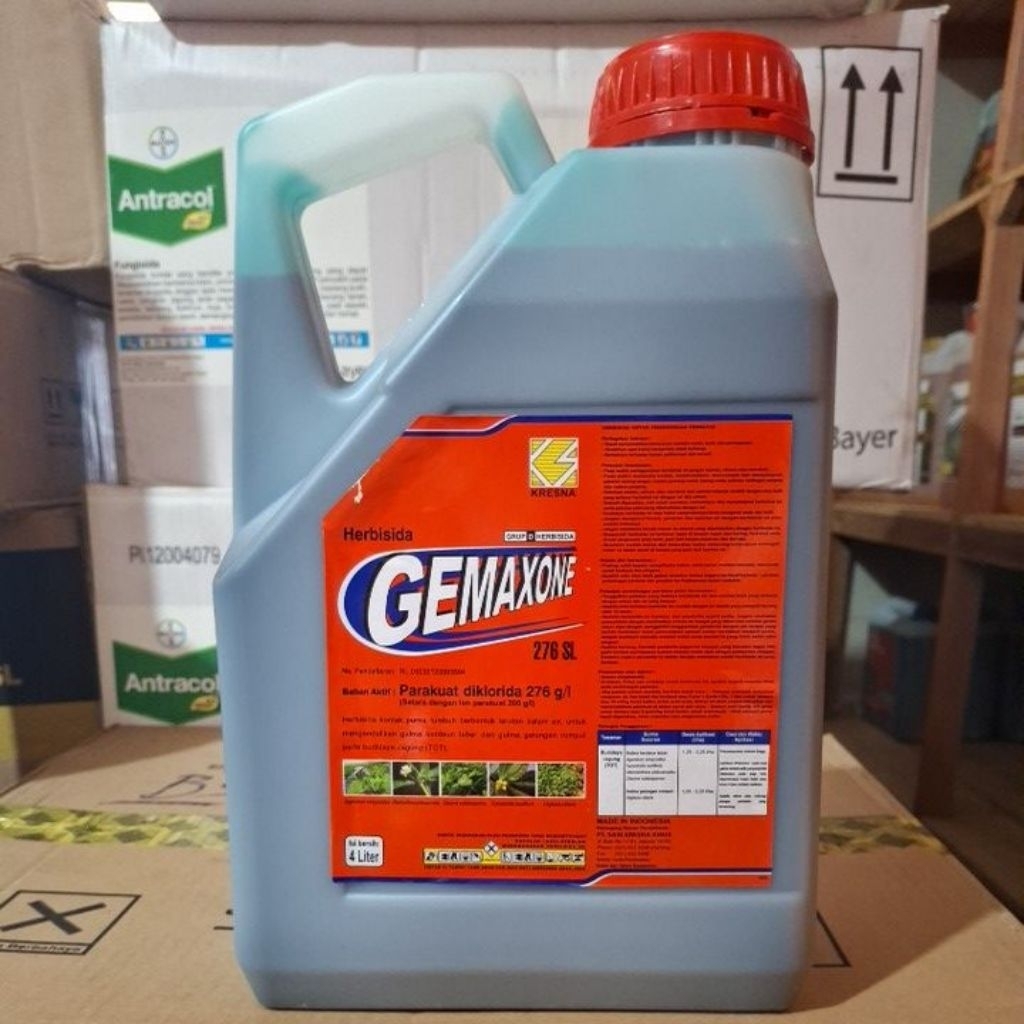 Herbisida Kontak Gemaxone 276 Sl 4 Liter