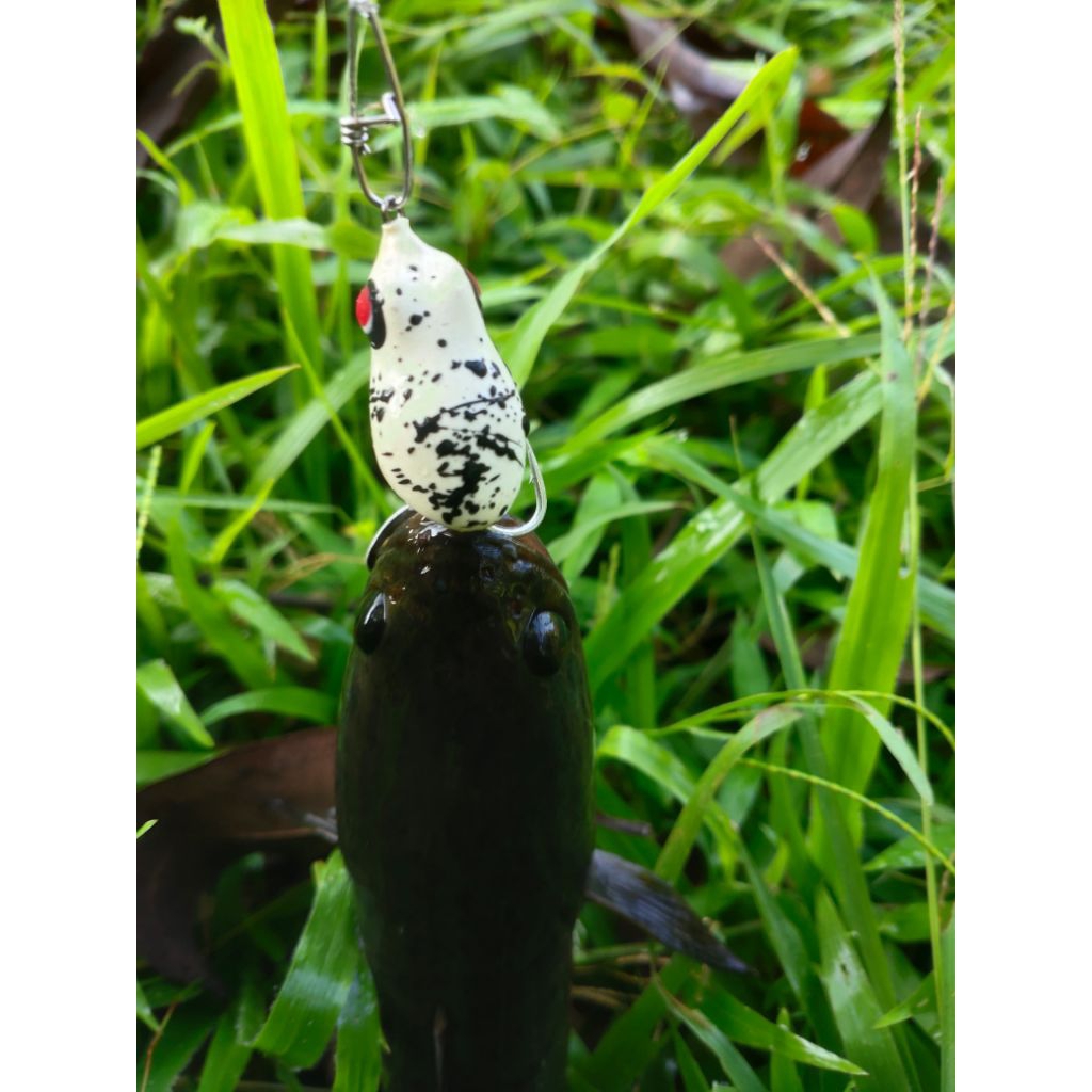 Softfrogkiller 3 cm umpan casting gabus kocolan