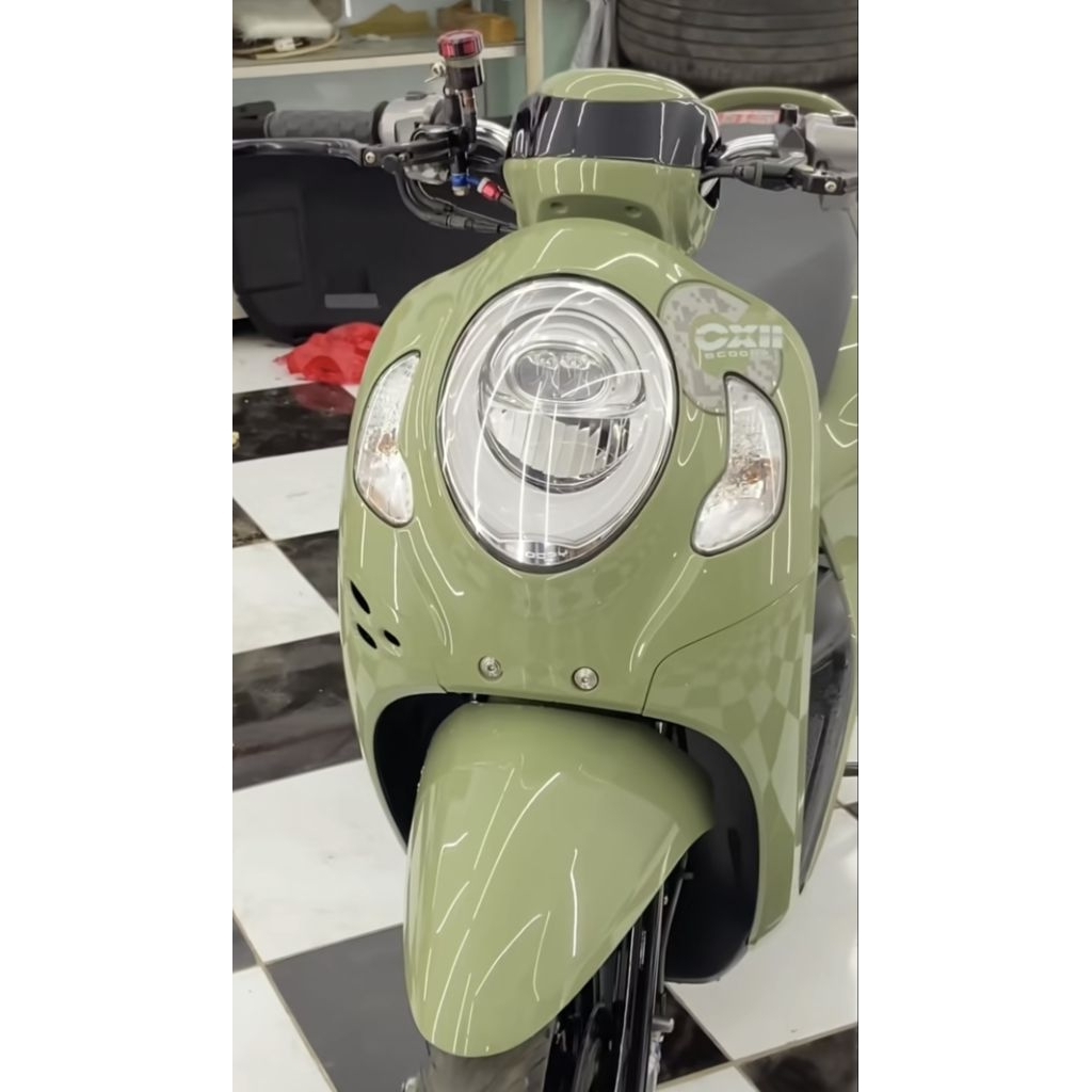 Cat PU Sage Green Solid