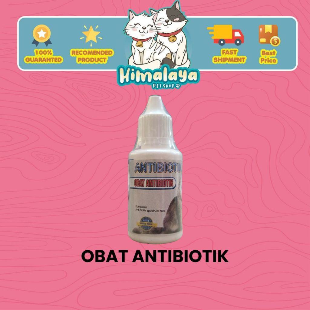 Obat Antibiotik Untuk Kucing - ANTIBIOTIK 10ml
