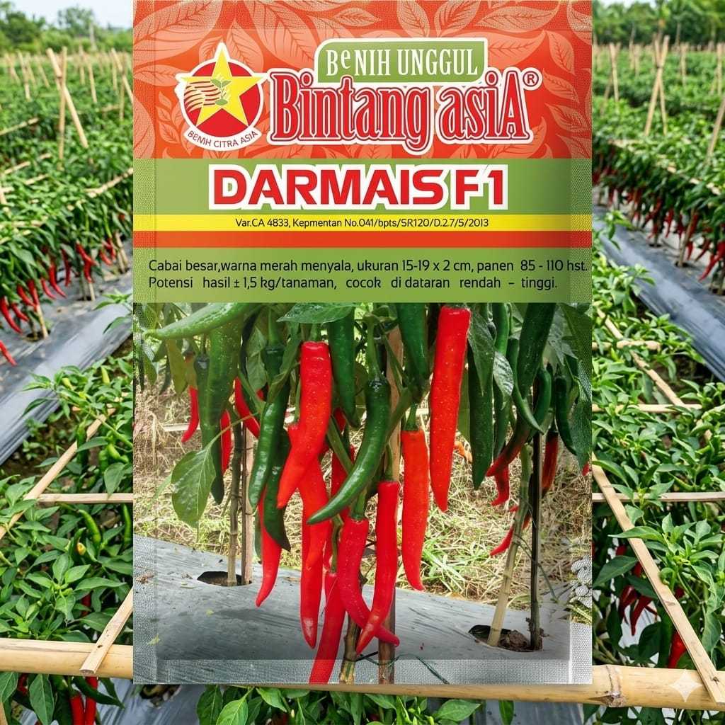 DARMAIS F1/BENIH CABAI BESAR/BINTANG ASIA/10gram benih cabai unggul berkualitas cabai besar