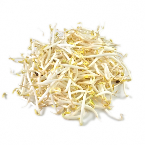 HarvestMoon Tauge Panjang / Tauge Bangkok @500gr