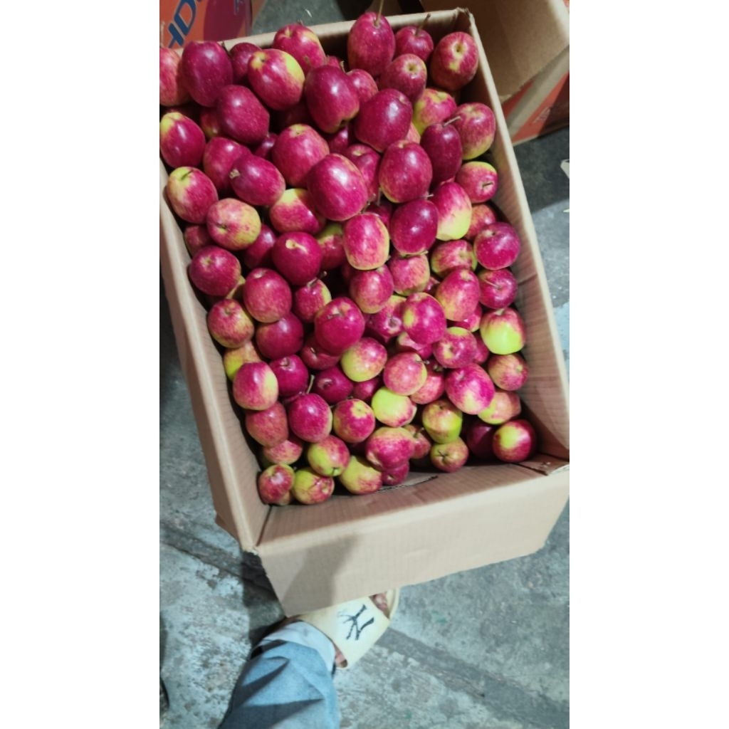 1kg Apel Anna Batu Malang Sekitar Tasik Kota.