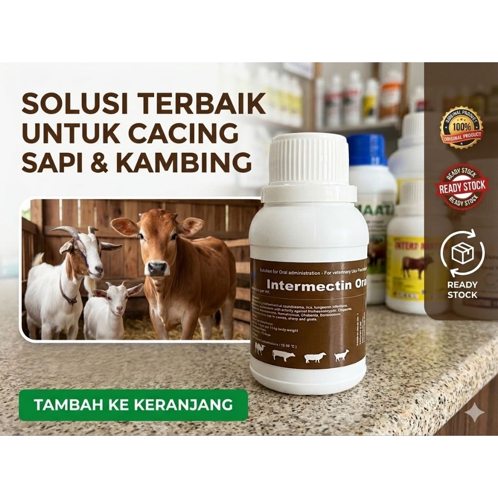 INTERMECTIN ORAL REPACK original 100ML 1BOTOL
