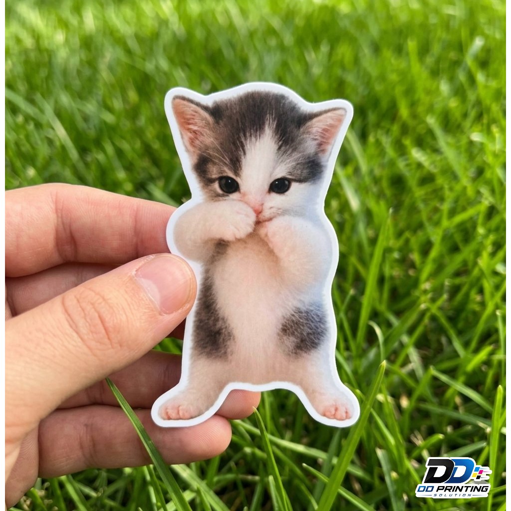 Sticker Kicau Mania / Kucing Meme Kicau Mania