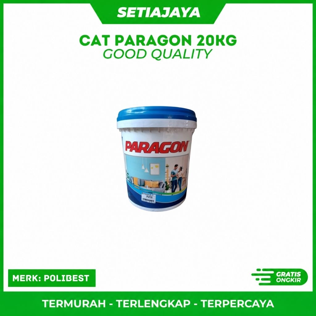 Cat Paragon 20KG