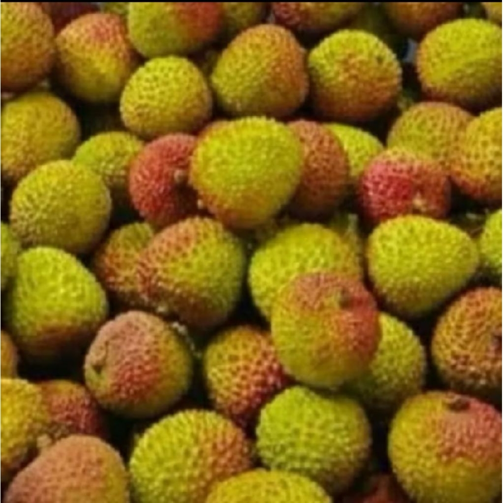 Buah Leci Madu