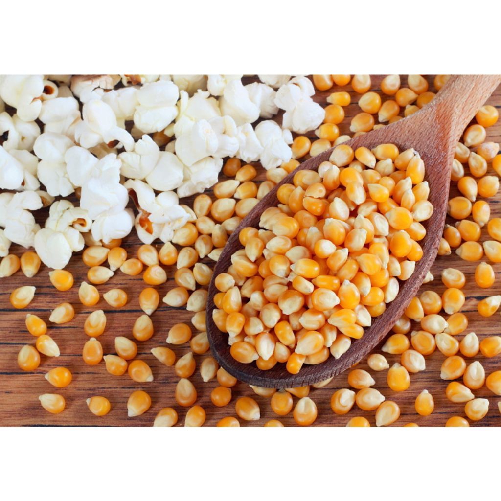 Jagung Popcorn Mentah Organik Non-GMO 1kg - Snack Yellow, Rasa Gurih, Bebas Pengawet