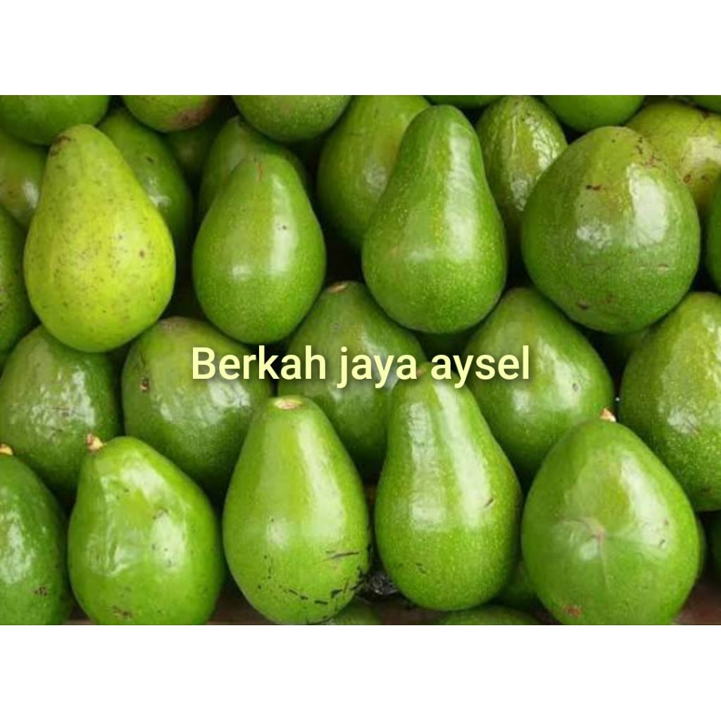 alpukat 1000g